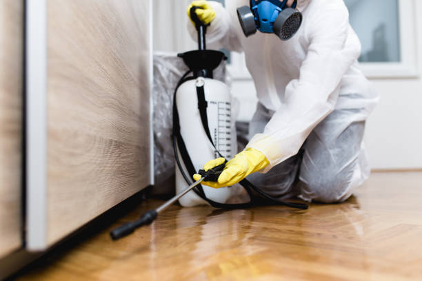 Best Ant Control Services  in Pine Hill, NJ