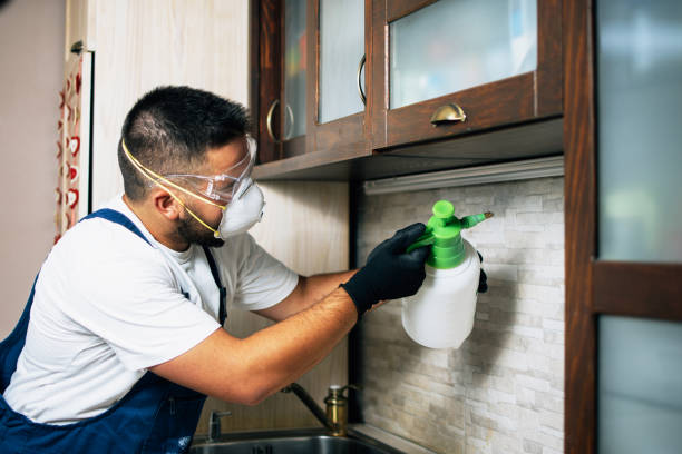 Best Pest Removal Services  in Pine Hill, NJ