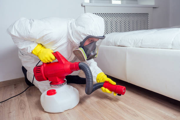 Best Cockroach Control Services  in Pine Hill, NJ