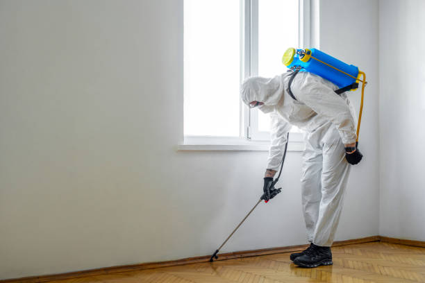 Best Pest Control Treatment  in Pine Hill, NJ