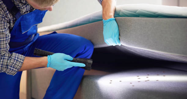 Best Commercial Pest Control Services  in Pine Hill, NJ